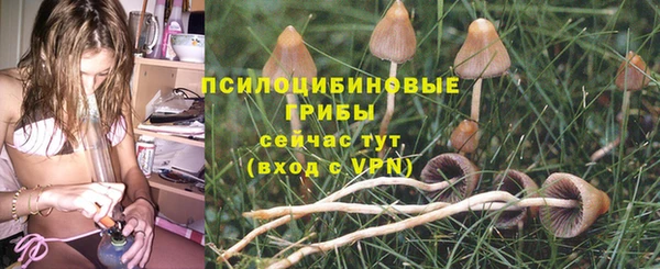 apvp Алексин