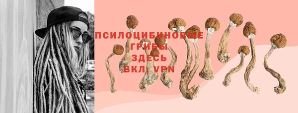 apvp Алексин