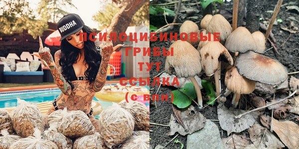 apvp Алексин