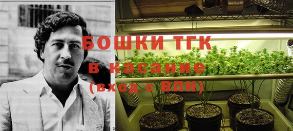прущие крисы Алексеевка