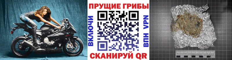 Псилоцибиновые грибы мицелий мега tor Кудрово