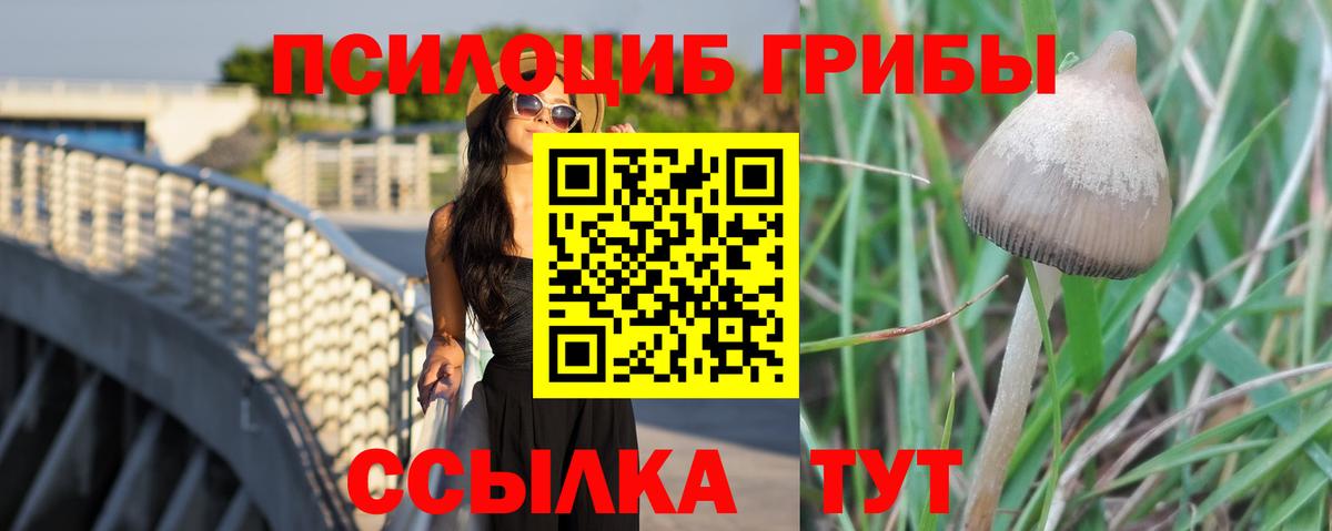 Кудрово  Галлюциногенные грибы Magic Shrooms  Вход с VPN 